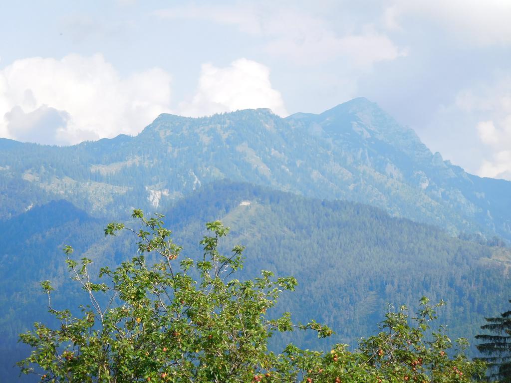 Urlaub Am Bauernhof Blamauer Koehr Goestling an der Ybbs Exterior photo