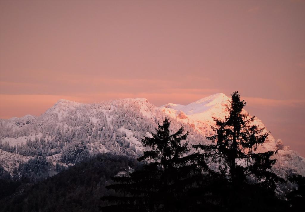 Urlaub Am Bauernhof Blamauer Koehr Goestling an der Ybbs Exterior photo